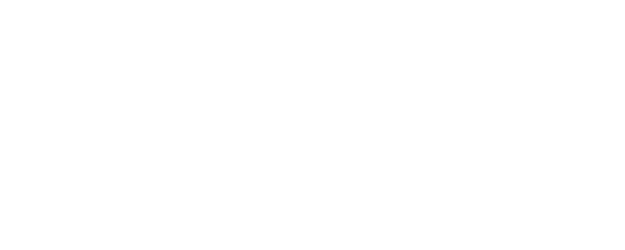 Voice Of Silence logo