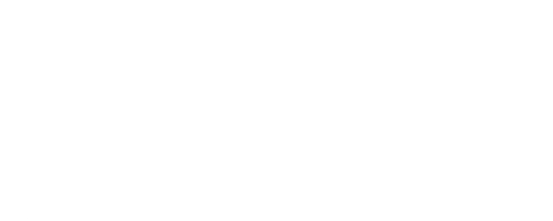 Voice Of Silence logo
