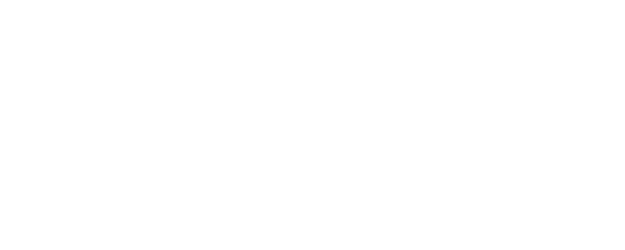 True Heroes Of Jamestown logo