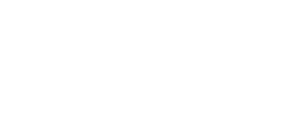 TRY logo