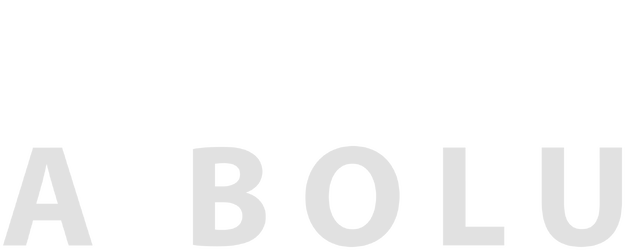 To Bolu logo