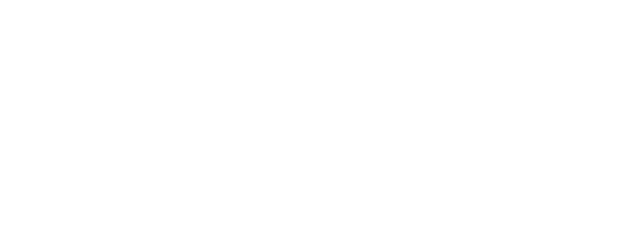 The Raven On The Jetty logo