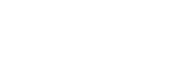 Hubert Butler: Witness To The Future logo