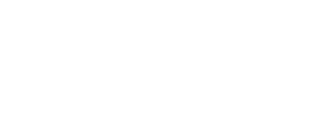 Black Ice logo