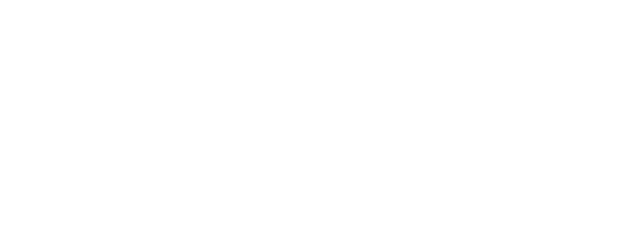 Nickel and Dime logo