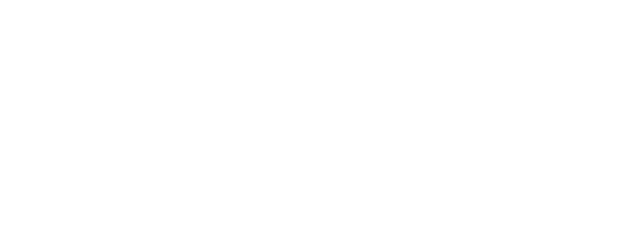 The Battle of Austerlitz logo