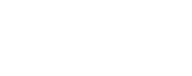 Dumb But Disciplined logo
