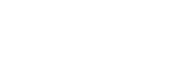 The 317th Platoon logo