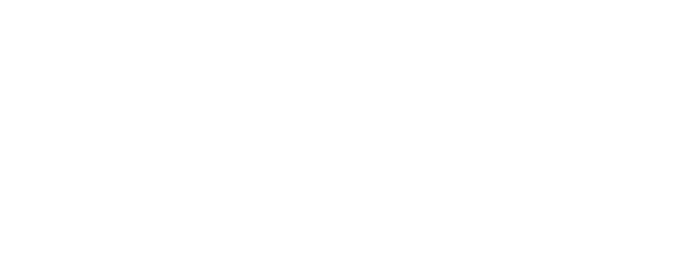 Hidden Face logo