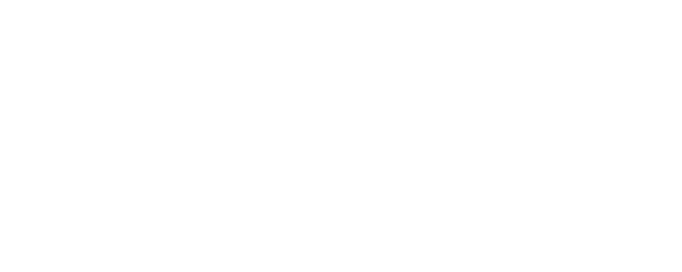6.5 Special logo
