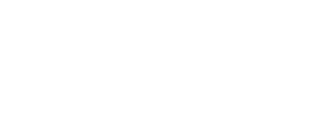 Woman in a Dressing Gown logo