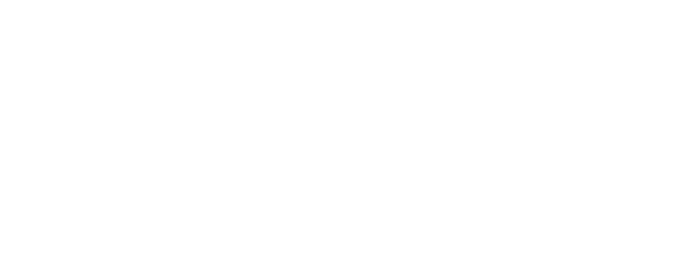 Tommy Steele Story logo