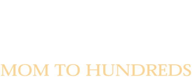 Mom To Hundreds logo