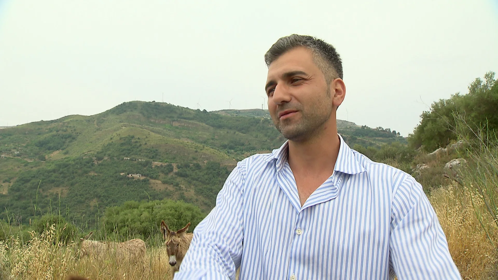 Four Seasons In Rural Sicily