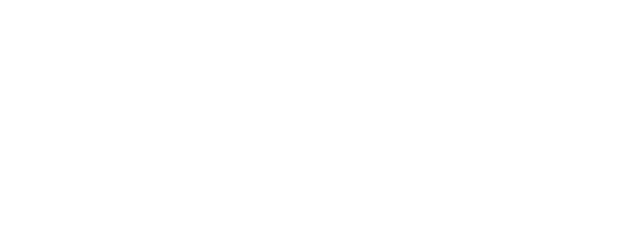 Diaries of The 1900's logo