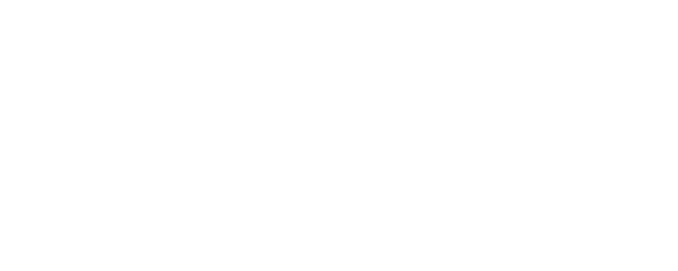 That Guy From The Stands logo