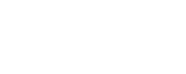 Anna logo