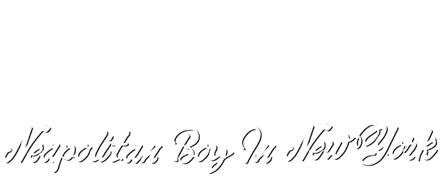Neapolitan Boy In New York logo