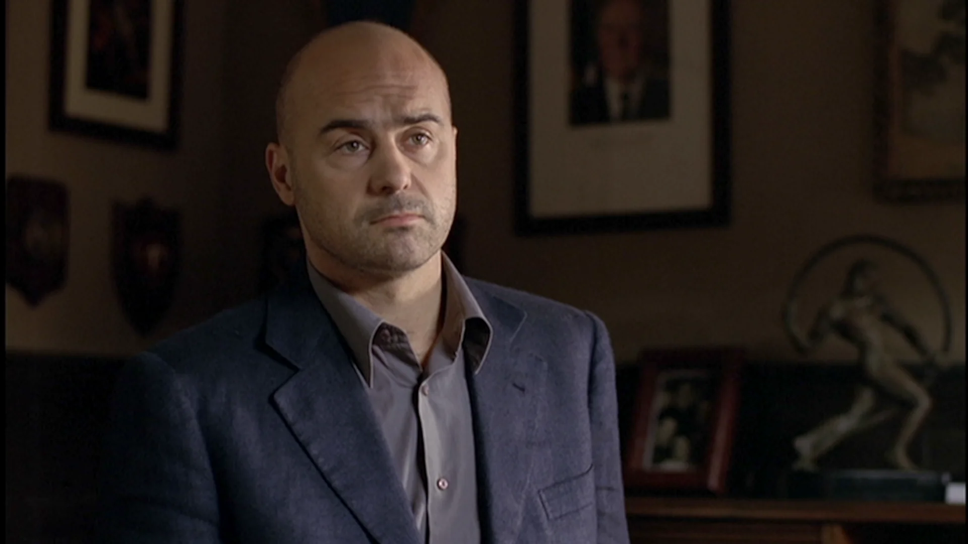 Montalbano: The Goldfinch and the Cat