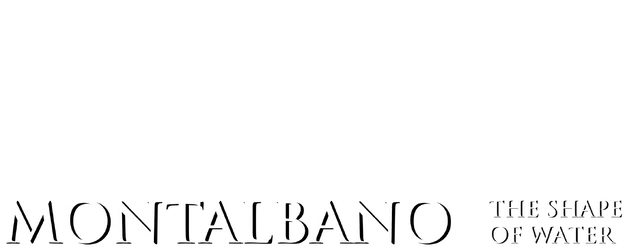 Montalbano: The Shape of Water logo