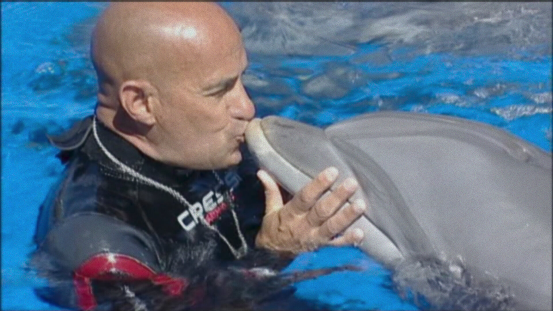 The Last Dolphin King