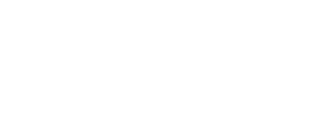 The Best Summer of My Life logo