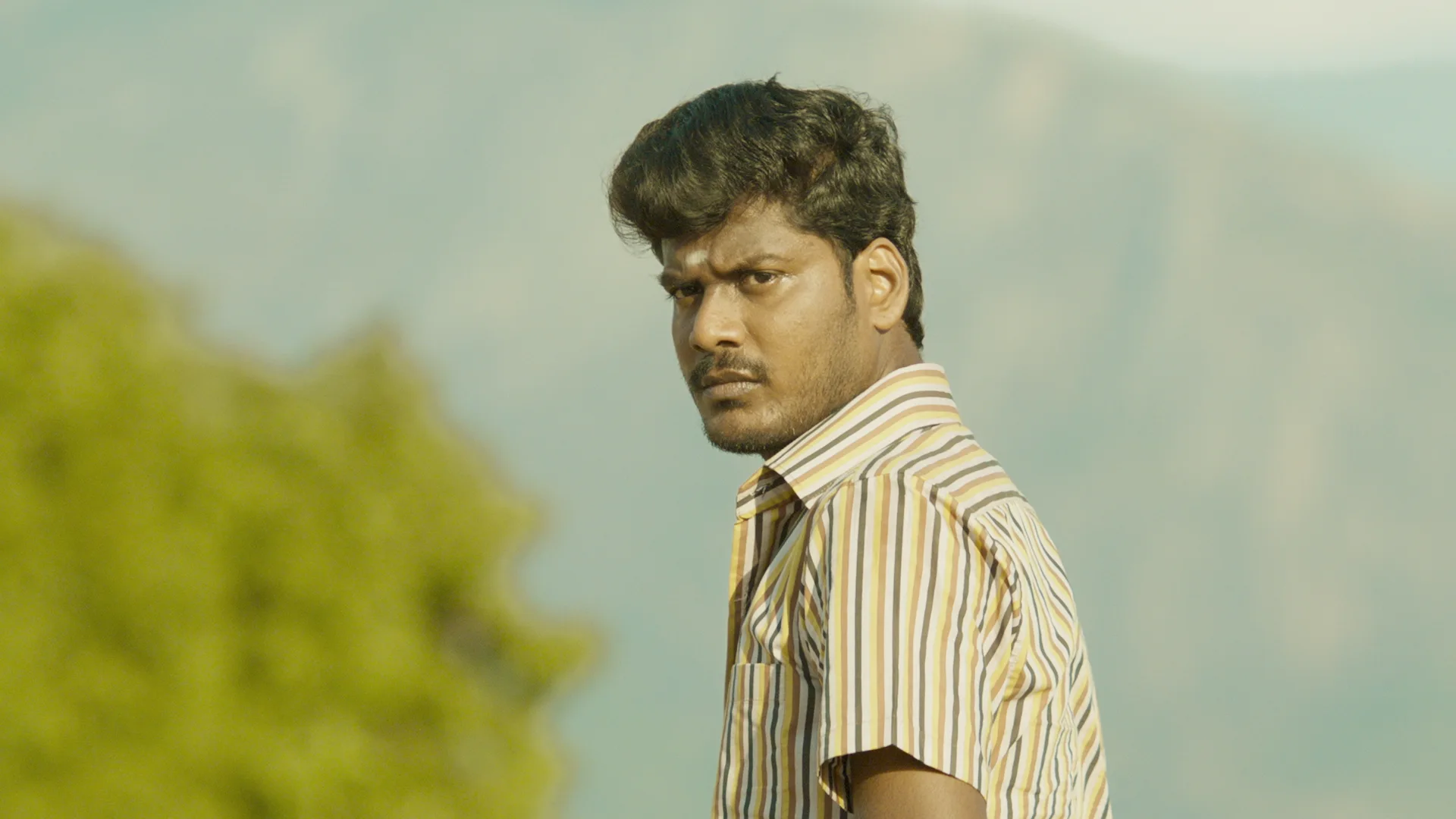 Aelay