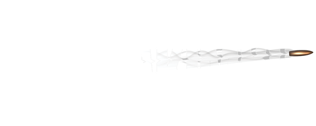 Guns Akimbo logo