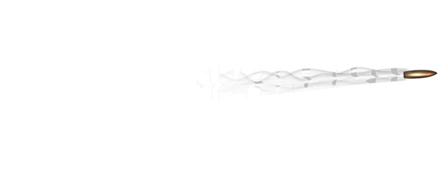 Guns Akimbo logo