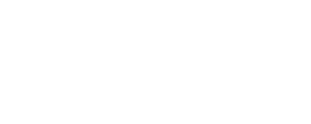 Boomika logo