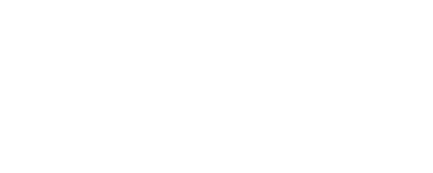 2 Weeks in Lagos logo