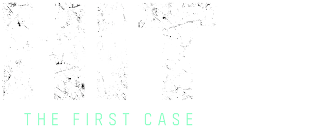 HIT: The First Case logo