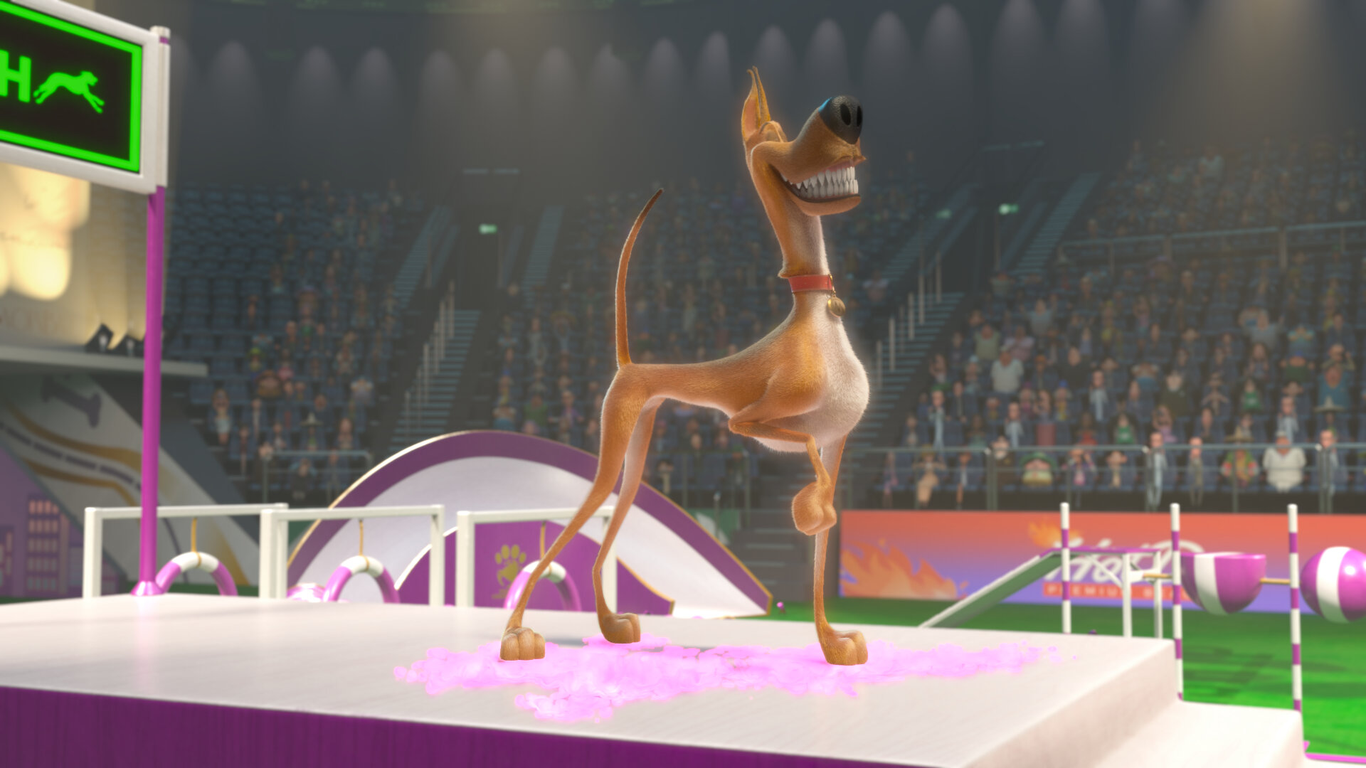 Marmaduke