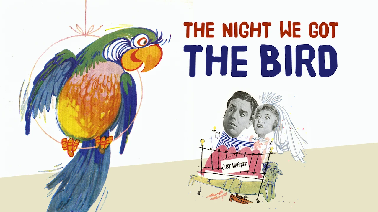 The Night We Got the Bird