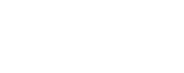 No Trees in the Street logo