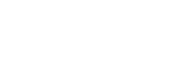 Second Fiddle logo