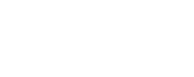 State Secret logo