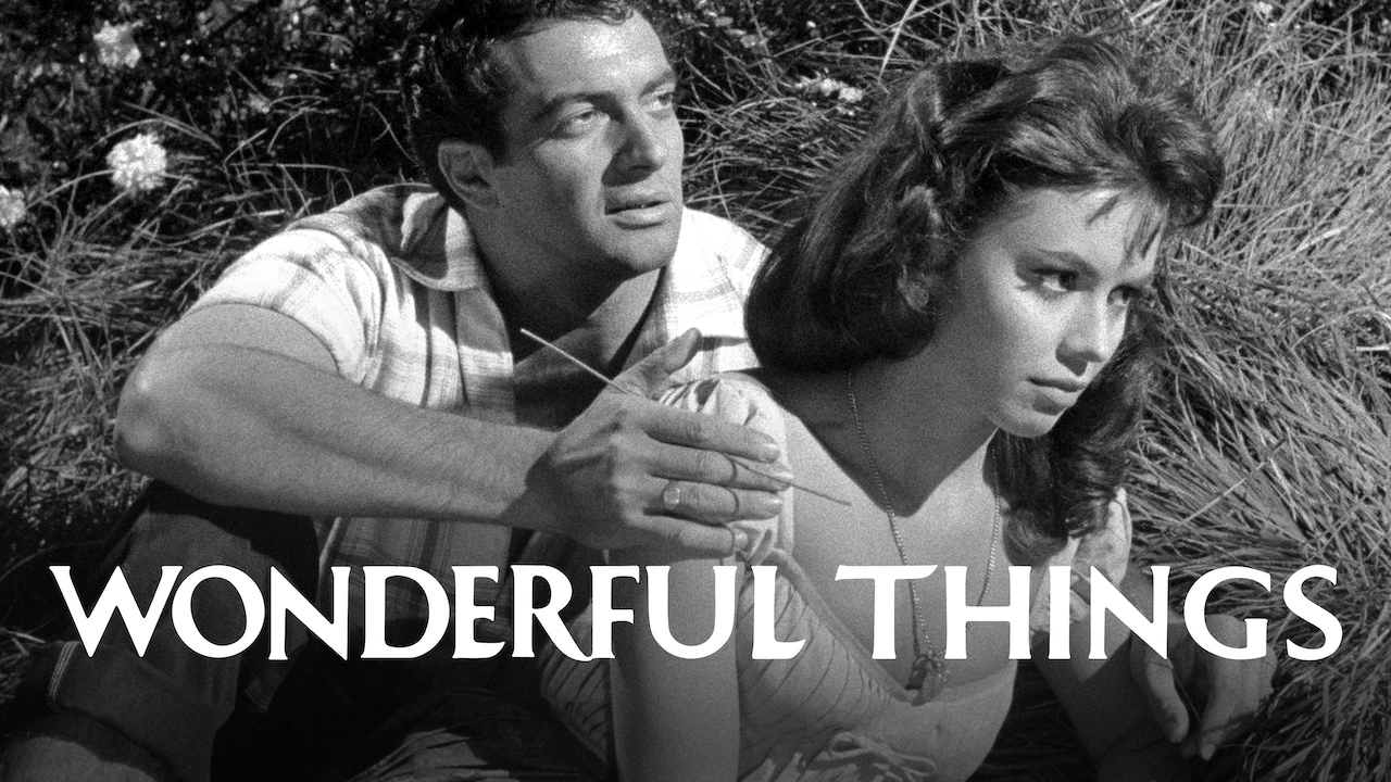 Wonderful Things