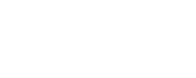 99 Songs logo