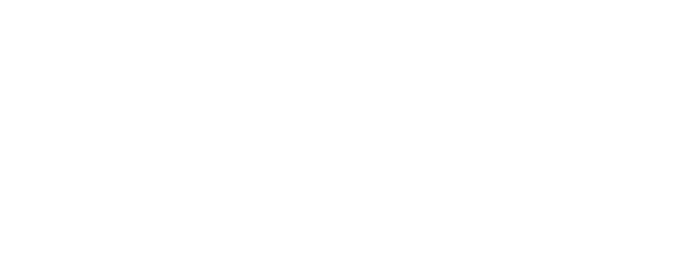 Chhota Bheem and The ShiNobi Secret logo