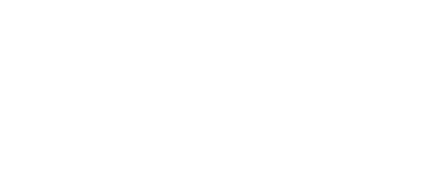 Chhota Bheem and The ShiNobi Secret logo