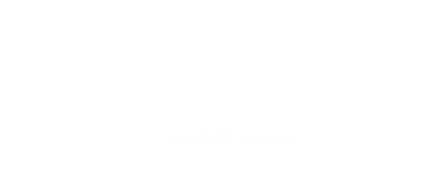 Chhota Bheem in African Safari logo