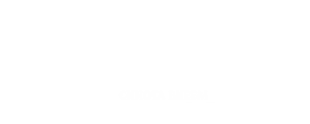 Chhota Bheem in African Safari logo