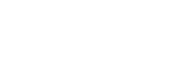 Chhota Bheem and the Incan Adventure logo