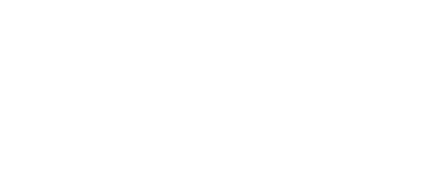 Chhota Bheem and the Incan Adventure logo