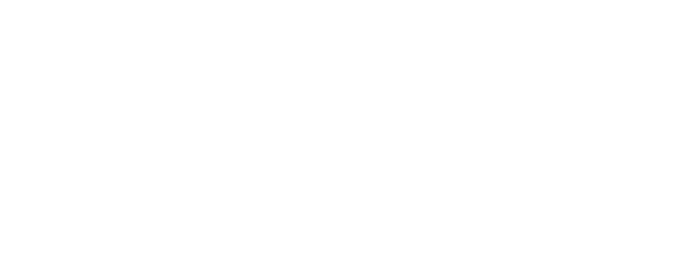 Chhota Bheem: Master of Shaolin logo