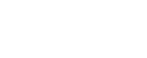 Chhota Bheem: Master of Shaolin logo