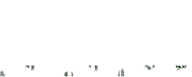 Deep in the Rainforest logo