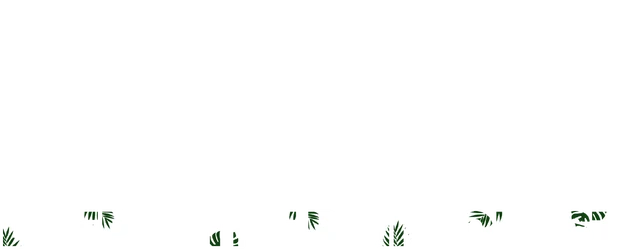 Deep in the Rainforest logo