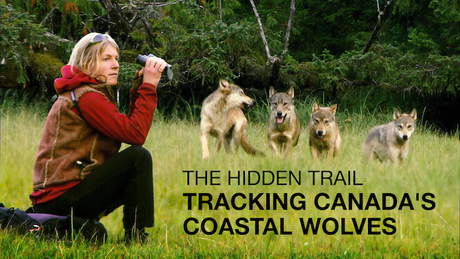 The Hidden Trail: Tracking Canada's Coastal Wolves